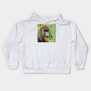 Mandrill 002 Kids Hoodie